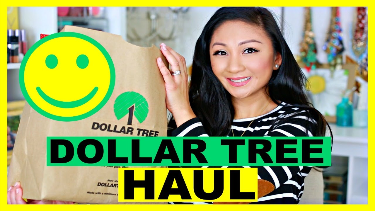 DOLLAR TREE HAUL! #11