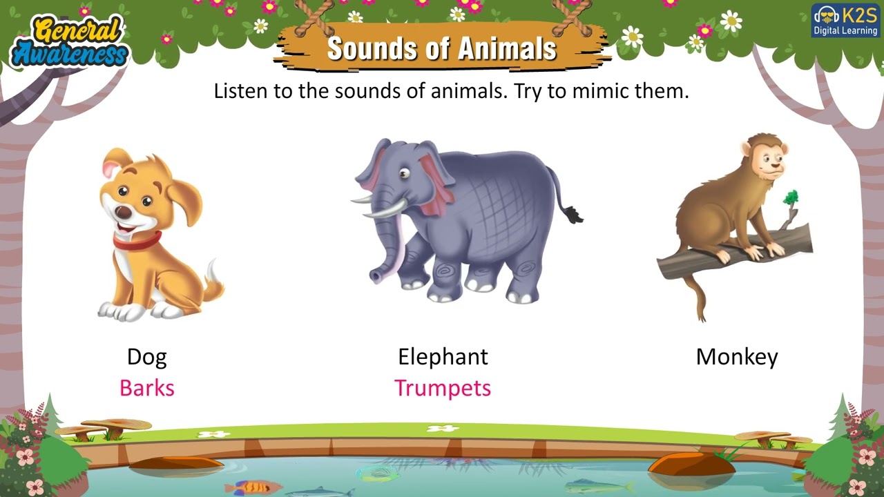 Sounds of Animals