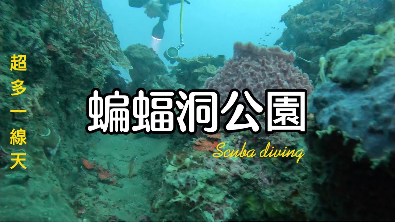 潛水｜清澈悠閒的蝙蝠洞公園/水肺潛水/東北角/2024.09.14