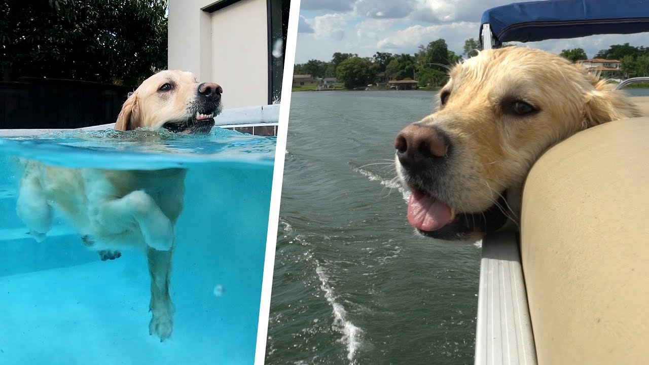 COOPER'S PERFECT DAY - Super Cooper Sunday 