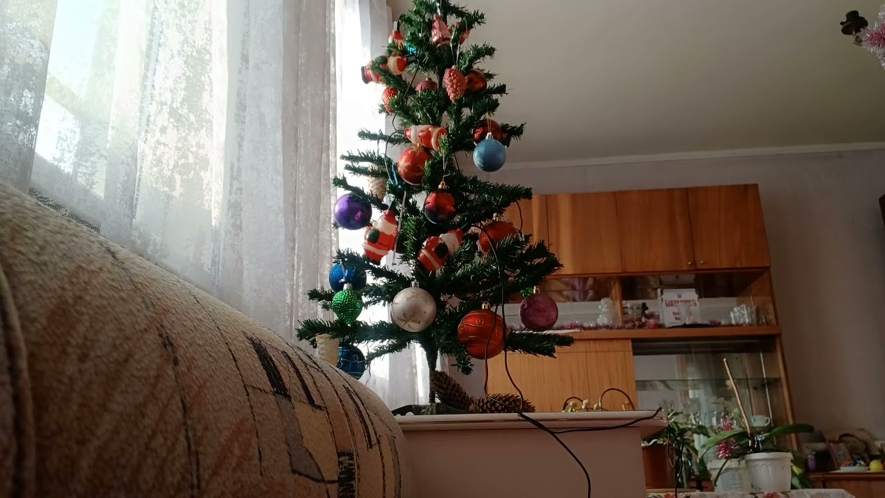 КТО ИЛИ ЧТО ПРОЯВИТСЯ В ЯНВАРЕ
