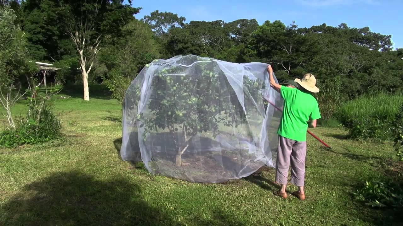 Wildlife friendly netting Fruitsaver net
