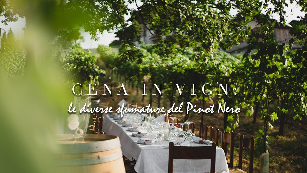 Cena in Vigna: le diverse sfumature del Pinot Nero | Unconventional Experience in Italy