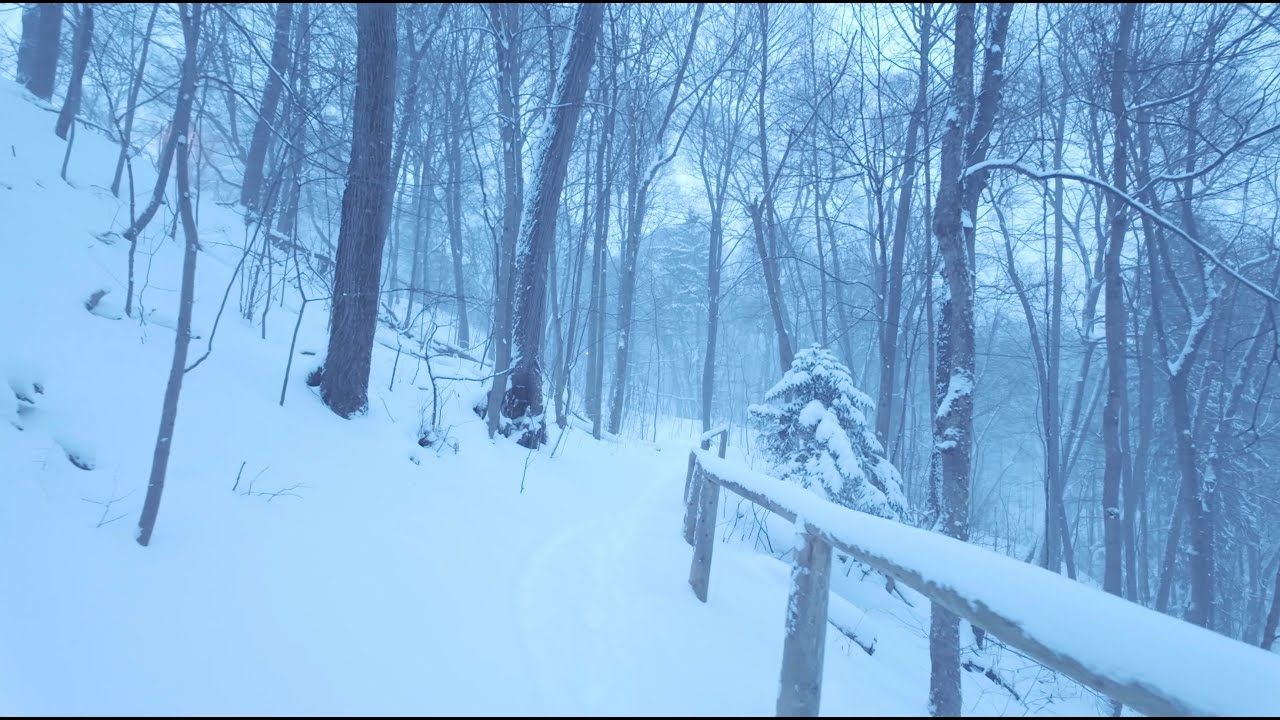 4K Snow Walk in Toronto Nature – Quiet Morning Snowfall | Ambient Walk