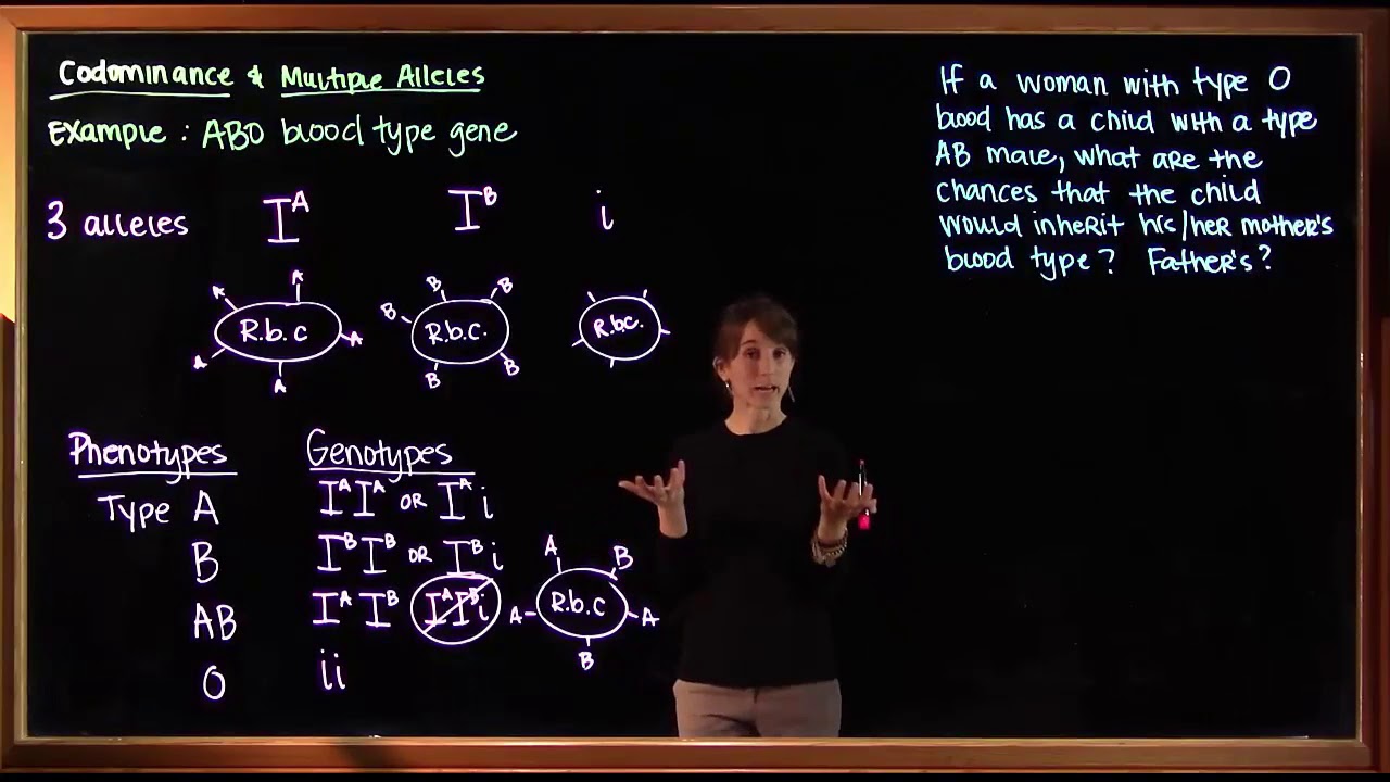 Codominance and Multiple Alleles