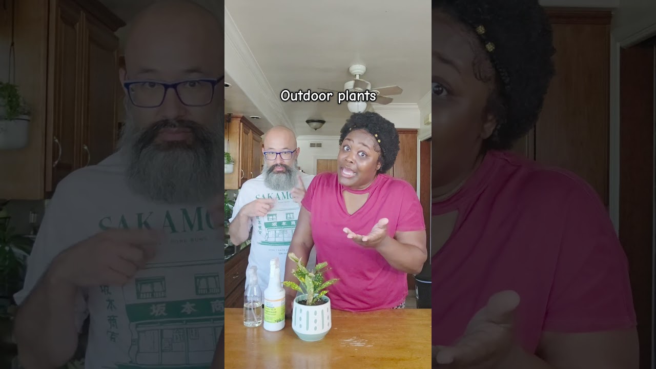 We're back to talk about another plant pest since everybody has been asking about it: spider mites.