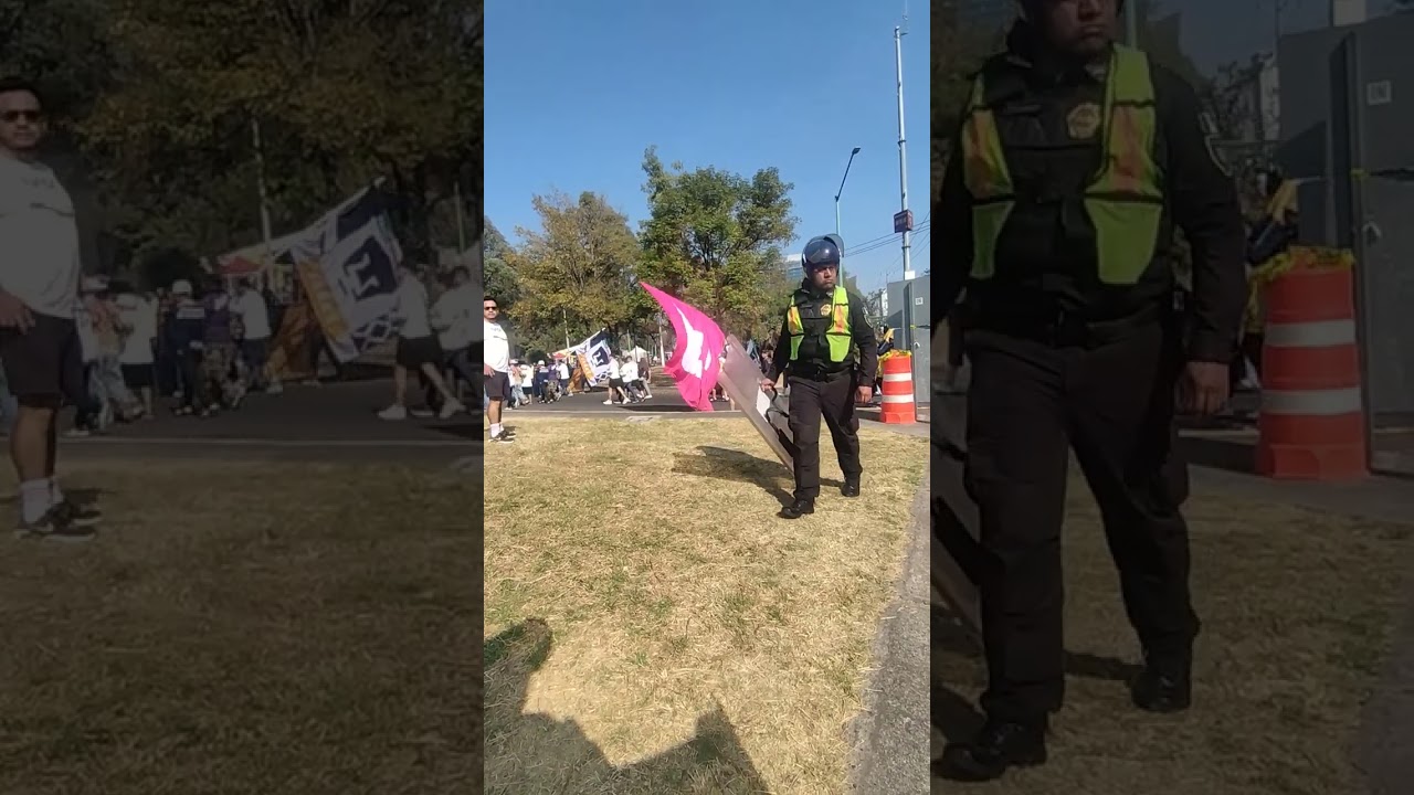 Porra de los pumas