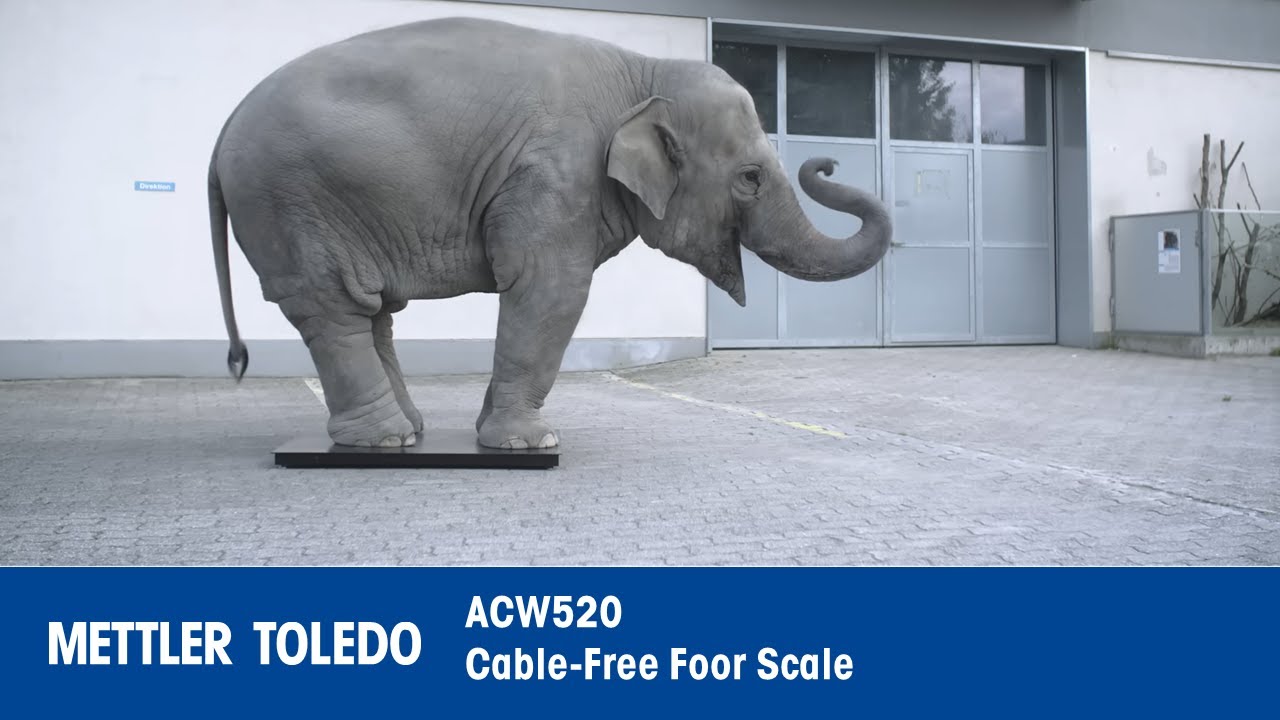 Cable-Free floor scale ACW520 - Product Video - METTLER TOLEDO Industrial - en