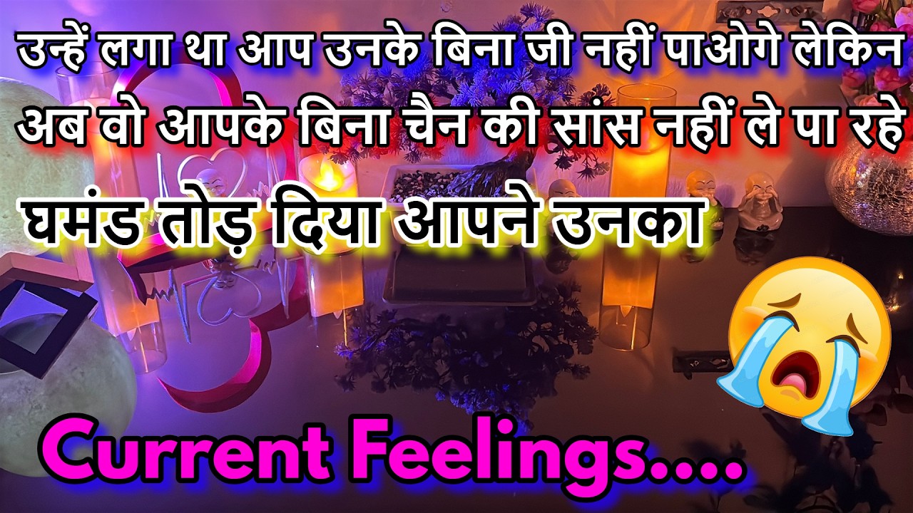 REALITY CHECK🌺CURRENT FEELINGS TAROT HINDI❤️timeless‼️LOVE READING‼️ALL ZODIAC SIGN⁉️ALL SITUATIONS