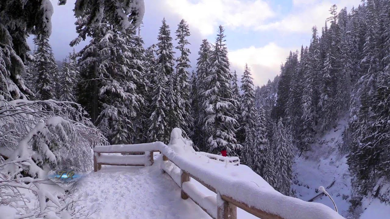 Winter at Mt. Rainier National Park 20141230 1080p HD