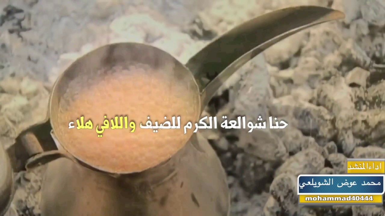 شيلة الشوالعه كلمات بادي مرزوق الرشيدي  اداء محمد عوض الشويلعي