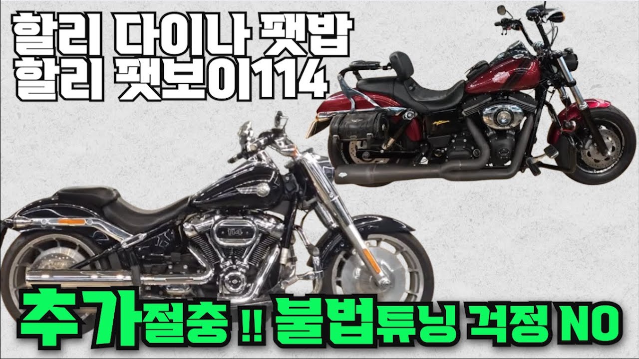 #할리 #다이나 #팻밥  & 할리 #팻보이 114 (튜닝 깔끔한 할리 가성비 바이크!! 엔진 컨디션 짱짱합니다!! 걱정없이 타세요^^ ) #연산동빠박이 #할리데이비슨