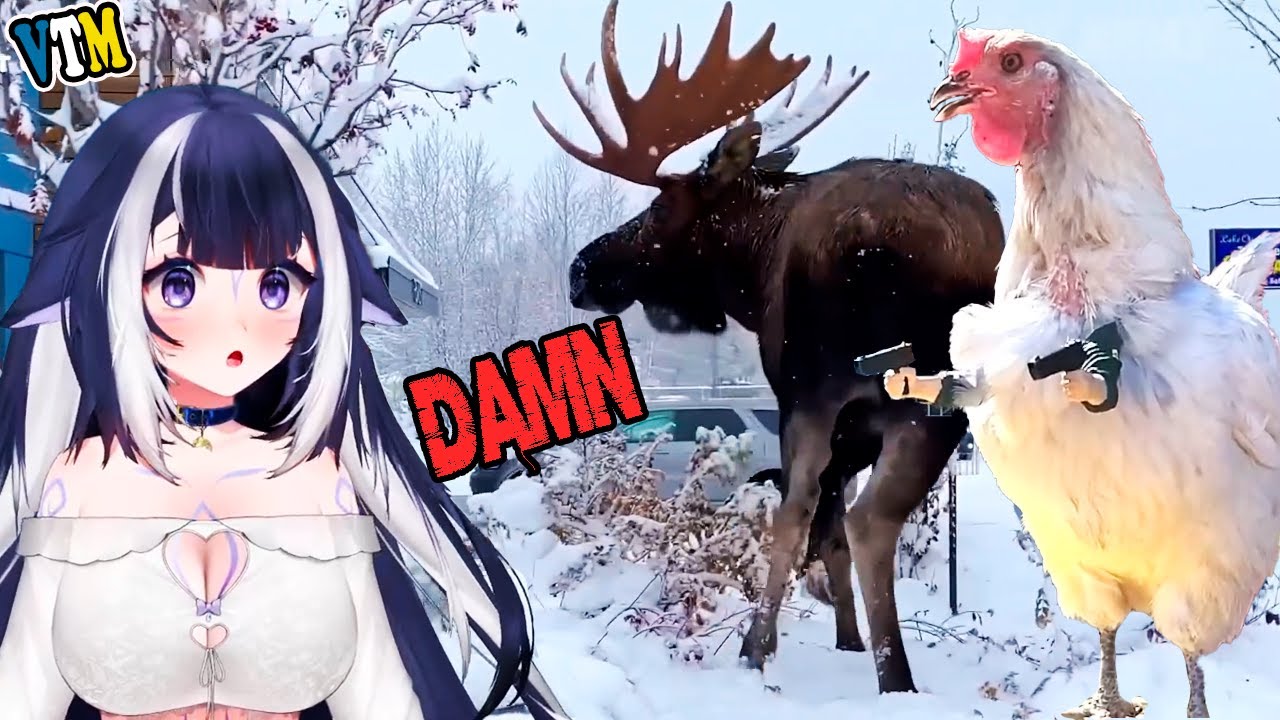 Shylily Reacts To FailArmy | Damn Nature You Crazy Insane Animal Fails 🦐