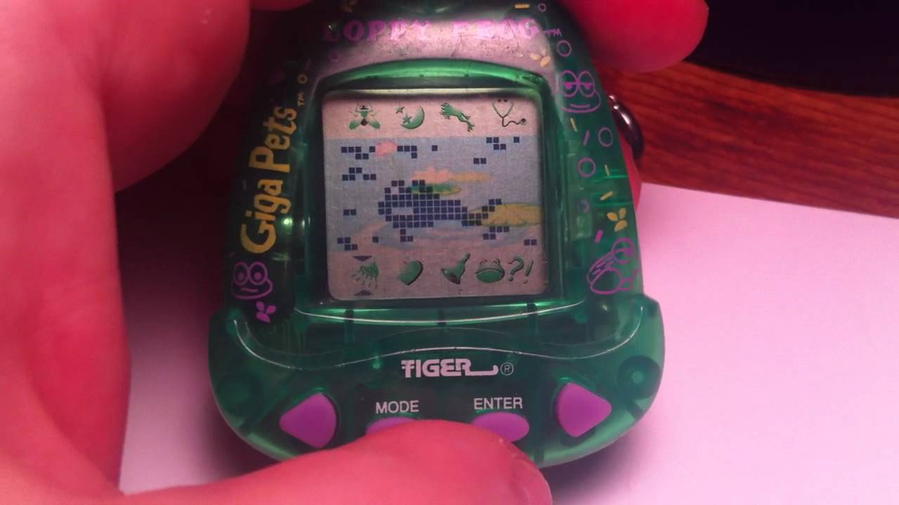 Floppy Frog Giga Pet Part 1