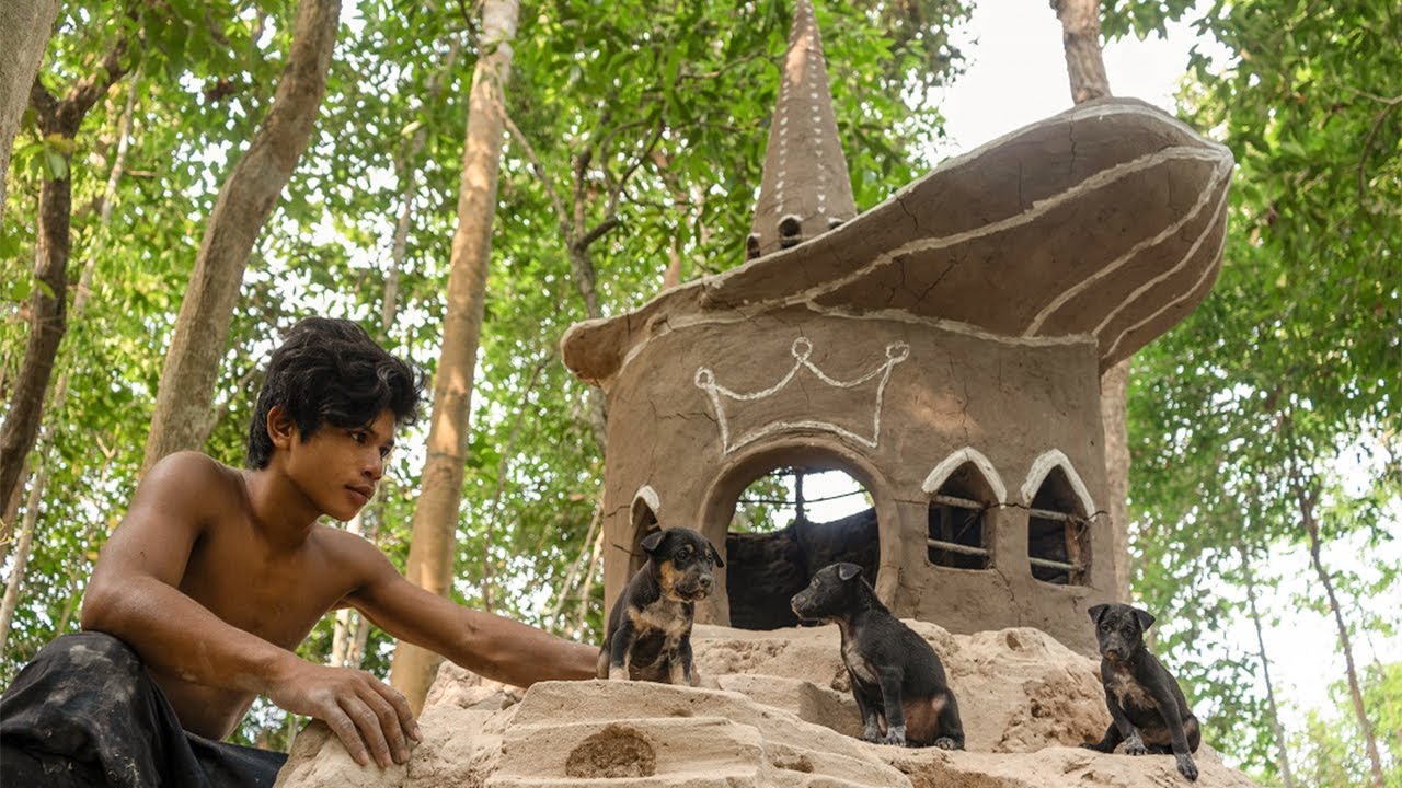 Black Dogs Rescued From Dry WaterWell Building  Dog House On Ant Hill Unused