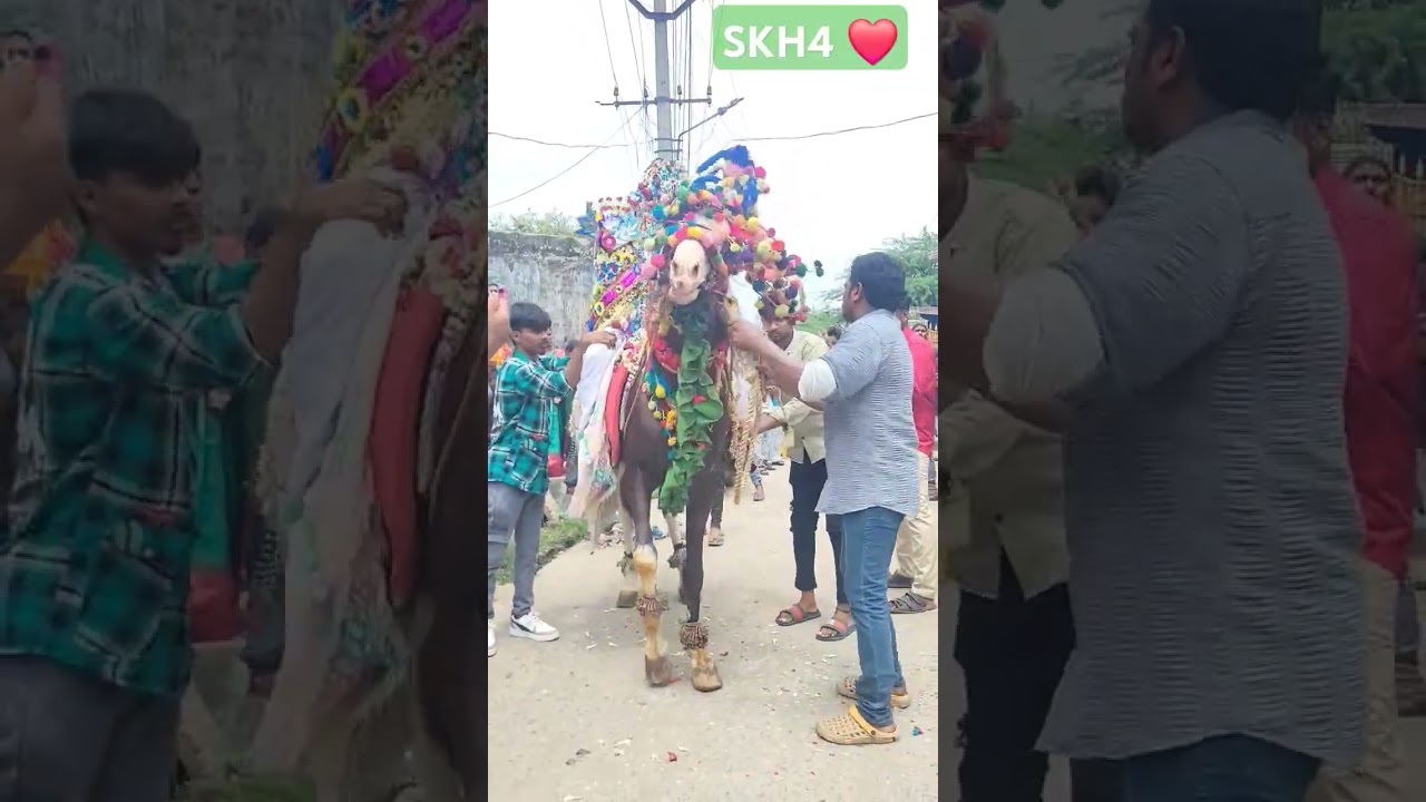 #marriagedance #rapuruguayo #horsepower