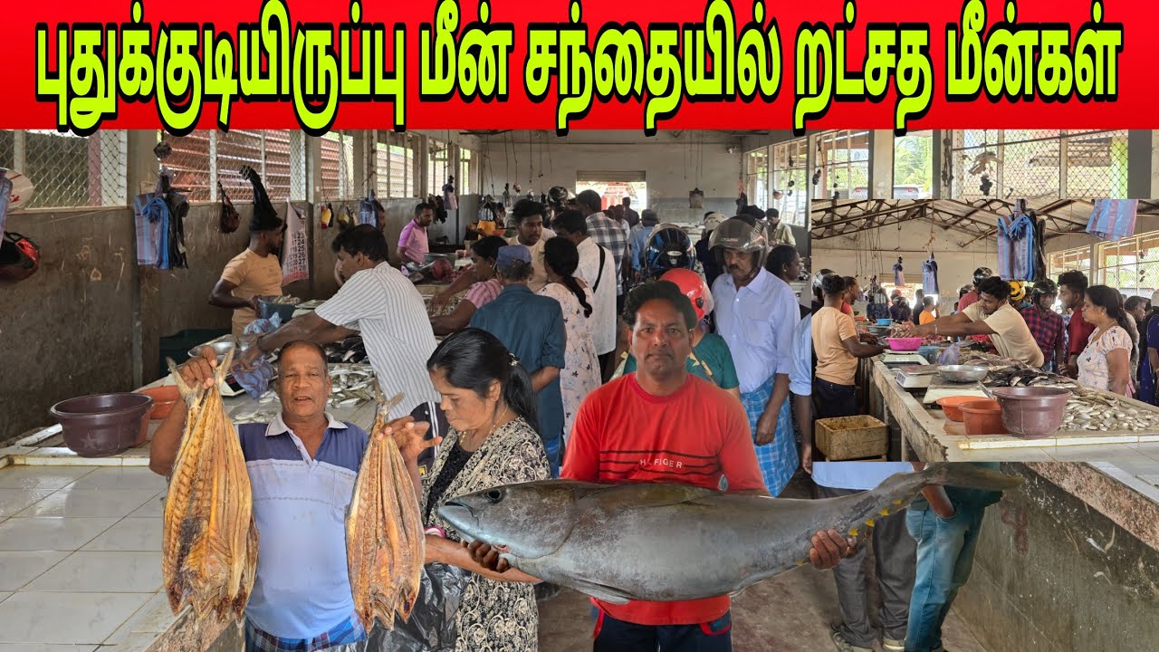🛑புதுக்குடியிருப்பு மீன்சந்தையில் பாரிய மீன்கள் தலைக்குமேல் ஏறிய விலை