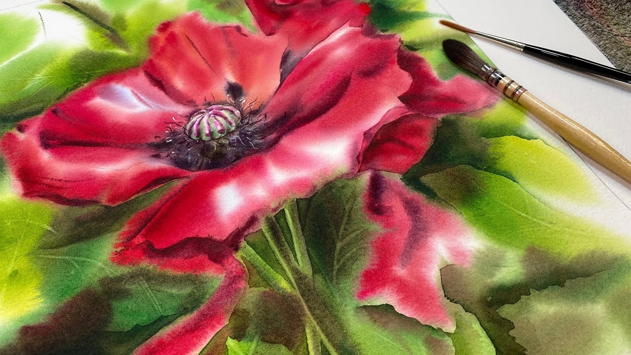 Watercolor Loose Poppy - Wet on Wet and Lifting Techniques #loosewatercolor