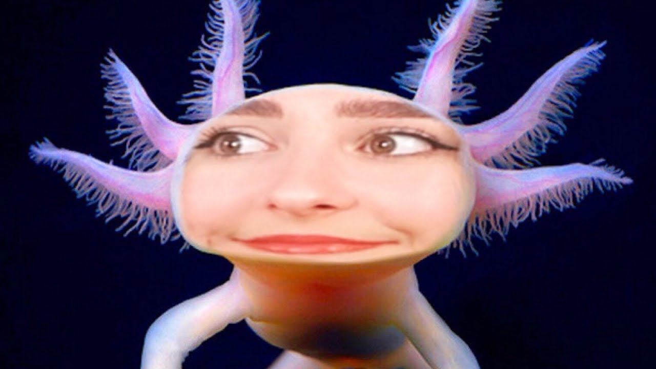 TOUT SUR L'AXOLOTL