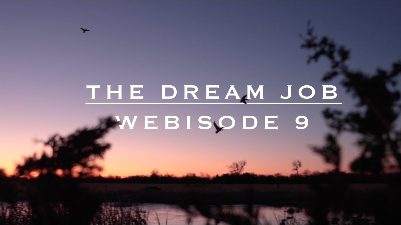 Limits of Mallards on a Kansas Pond | The Dream Job: Webisode 9