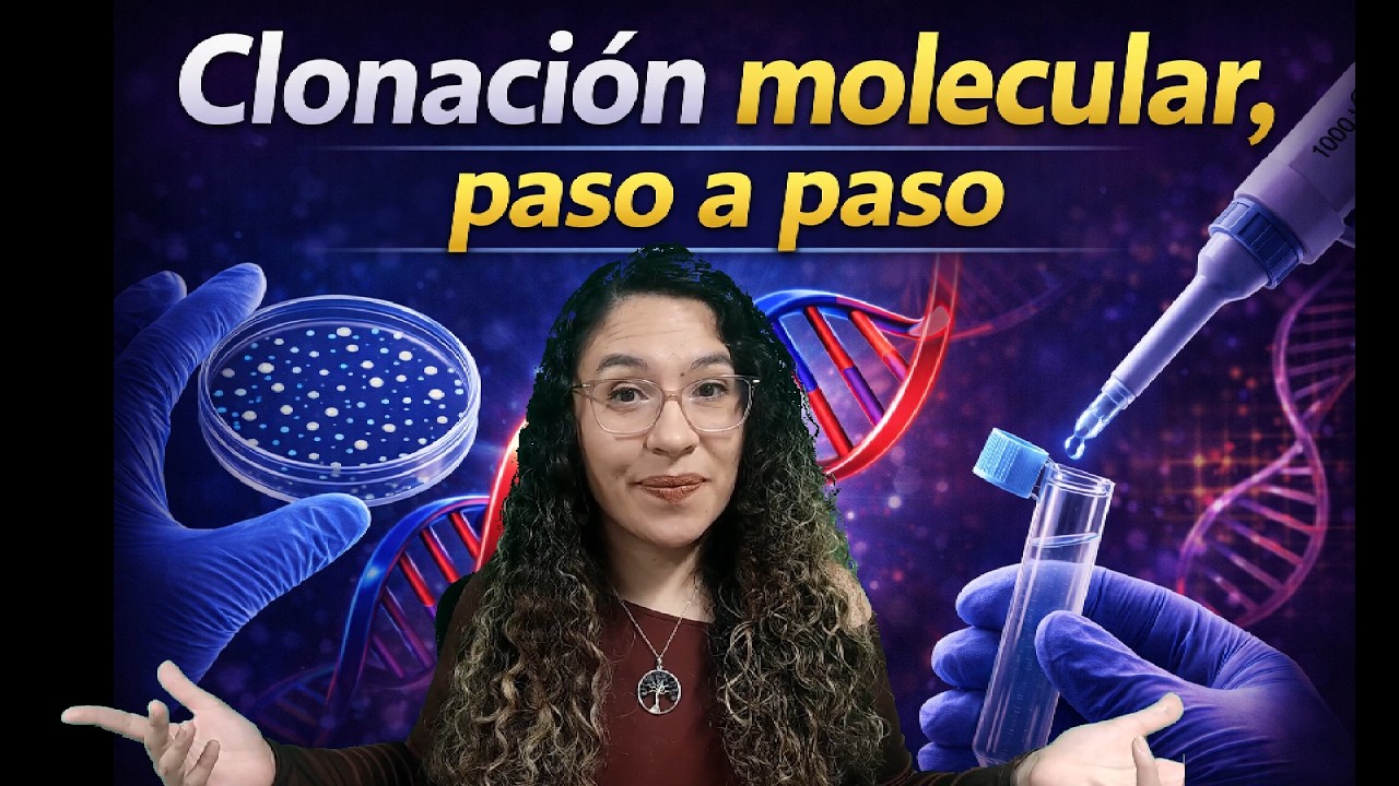 ¿Cómo se hace la clonación molecular con enzimas de restricción?
