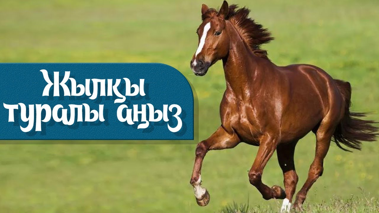 Жылқы туралы аңыз