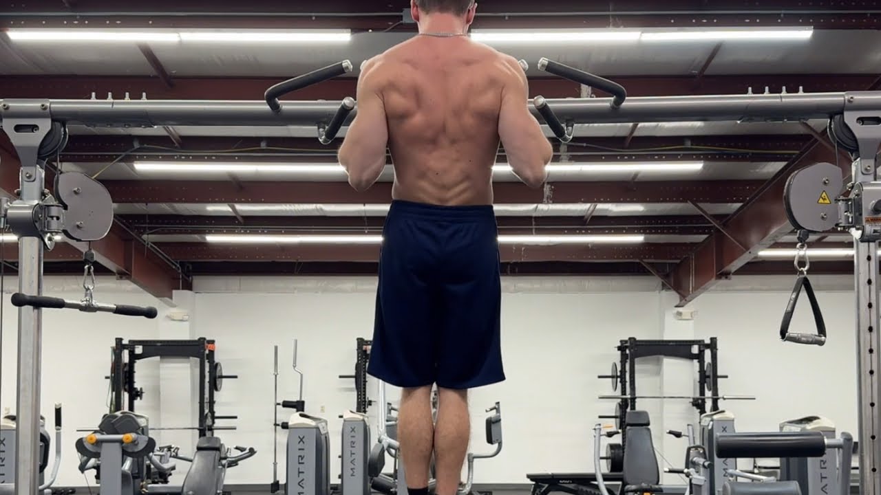 Calisthenics Training 2026 - Week 2 (OAP, Planche)