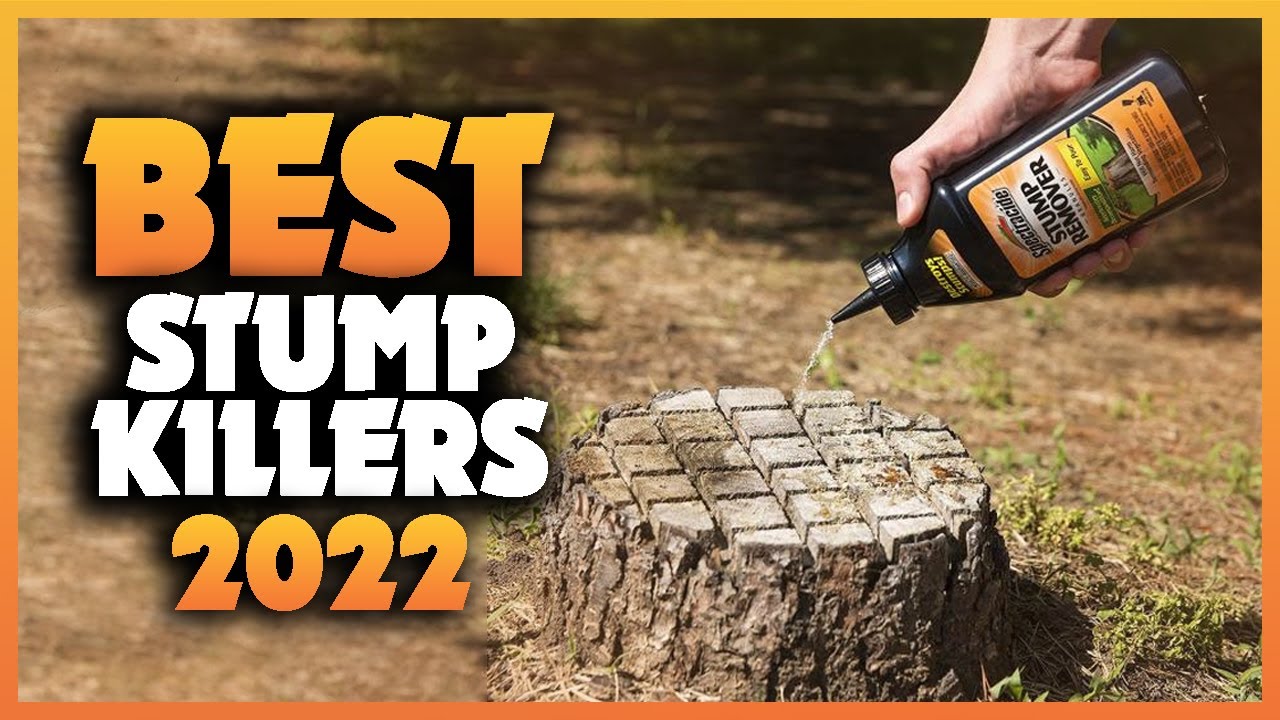 Top 5 Best Stump Killers You can Buy Right Now [2023]