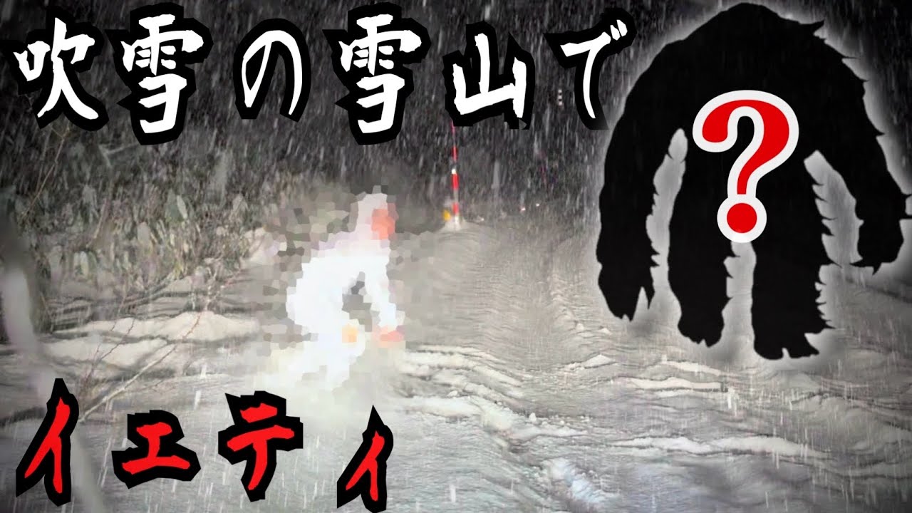 【衝撃映像】猛吹雪の雪山であの未確認生物