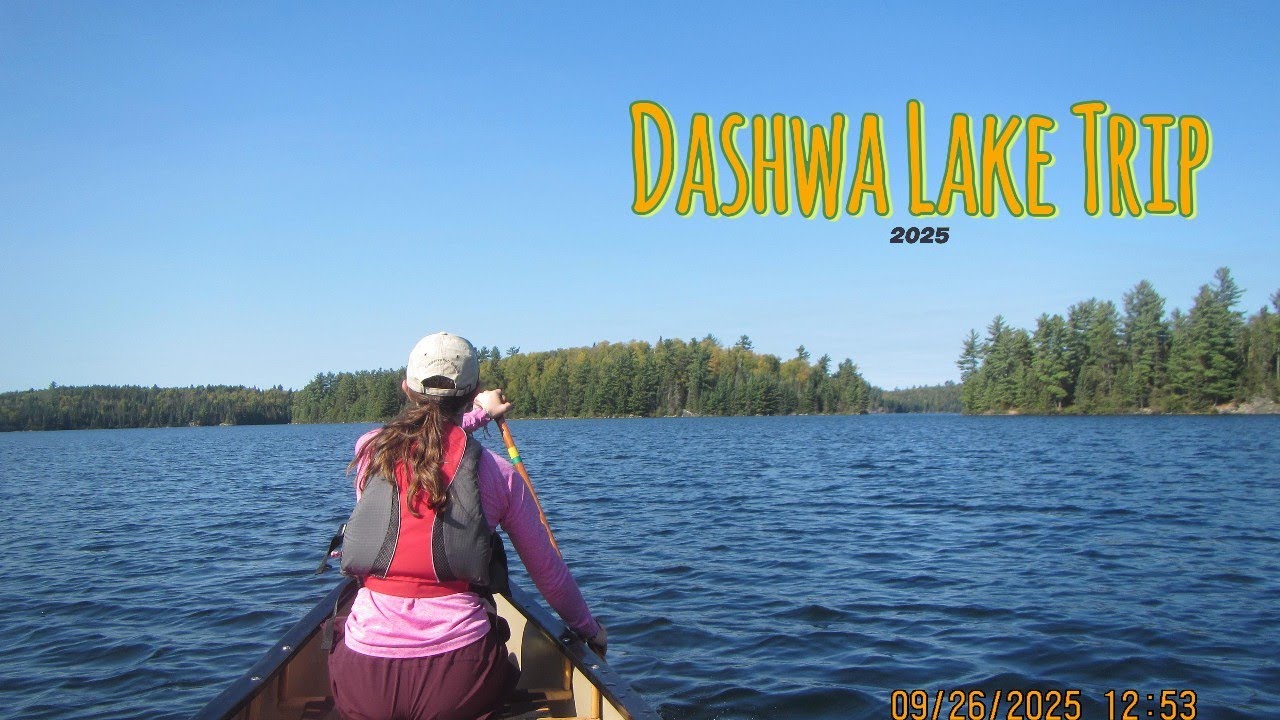 DASHWA TRIP