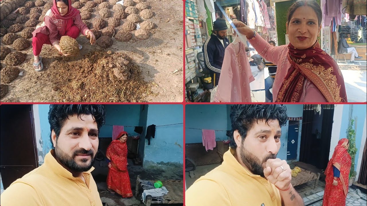 कठिन परिश्रम करने के बाद💁गिफ्ट के तौर पर उसका फल मिल गया🤷|Ravi vlogs|#famlivlog #vlogs #dailyvideo 