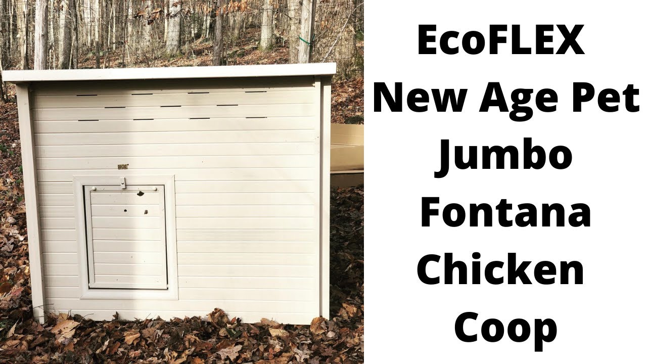 EcoFLEX New Age Pet Jumbo Fontana Chicken Coop