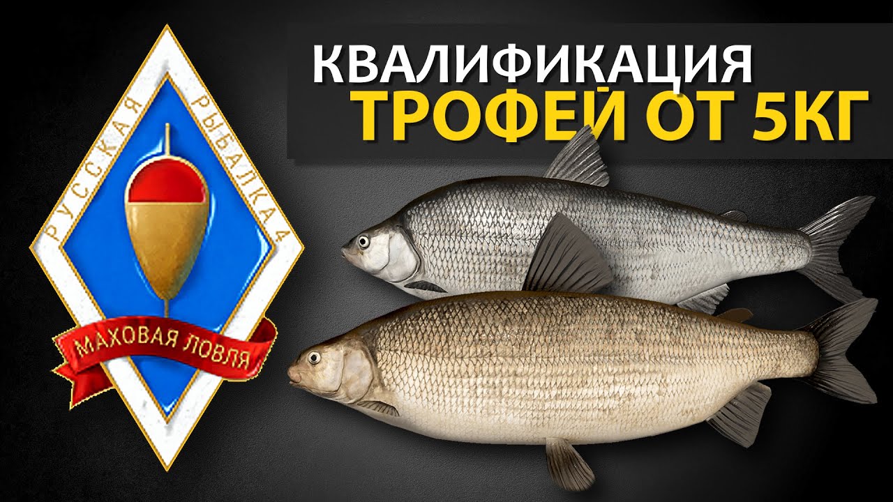 Русская Рыбалка 4 - Стрим. Трофей на мах от 5кг (Заказ челлендж от игрока Рекорд недели на бамбук)