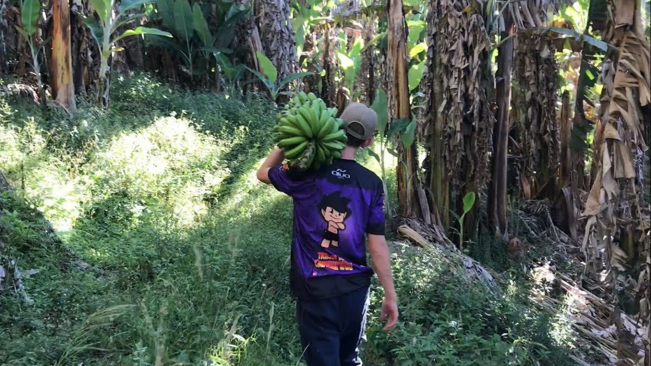 DOCE DE BANANA SEM AÇÚCAR - FOGO NO CUPINZEIRO