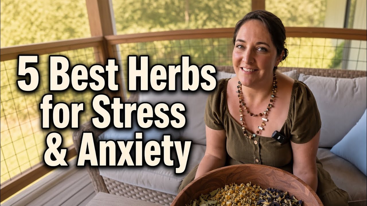 5 Best Herbs for Stress & Anxiety: Calming Herbal Tea Recipe