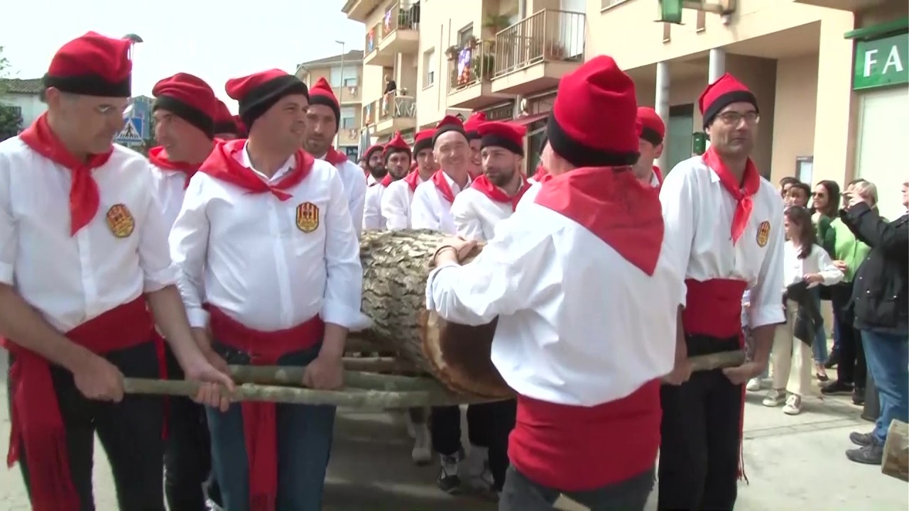 Cornellà del Terri commemorarà el 50è aniversari de la restitució de la plantada de l’Arbre del Maig