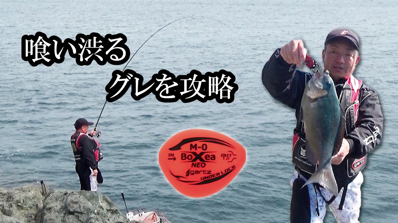 【グレ釣り】大分鶴見の喰い渋るグレを攻略