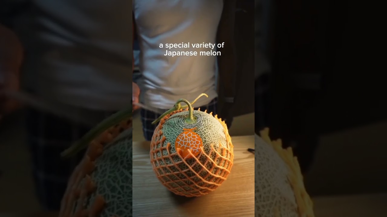 Buah Termahal: Melon Yubari King #fakta #melon