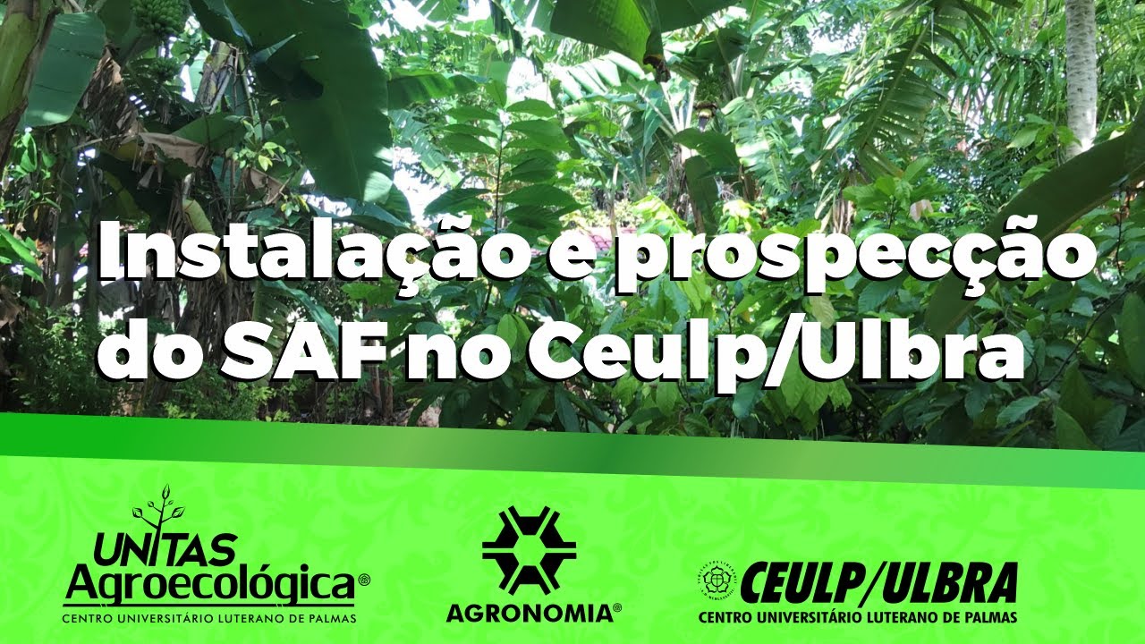 Instala&ccedil;&atilde;o e prospec&ccedil;&atilde;o do SAF no Ceulp/Ulbra | Slideshow