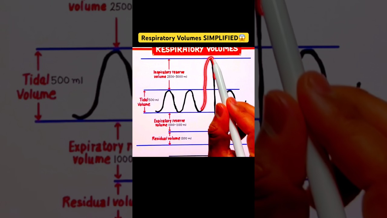 Respiratory Volumes SIMPLIFIED🔥      #neet #neet2026 #neettricks