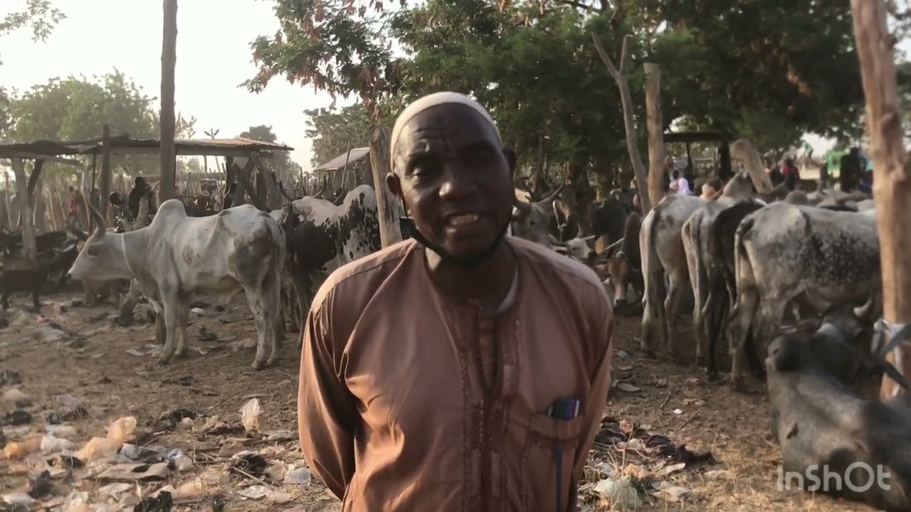 Cattle business is profitable, I have been able to build a house and take care of my 6 children
