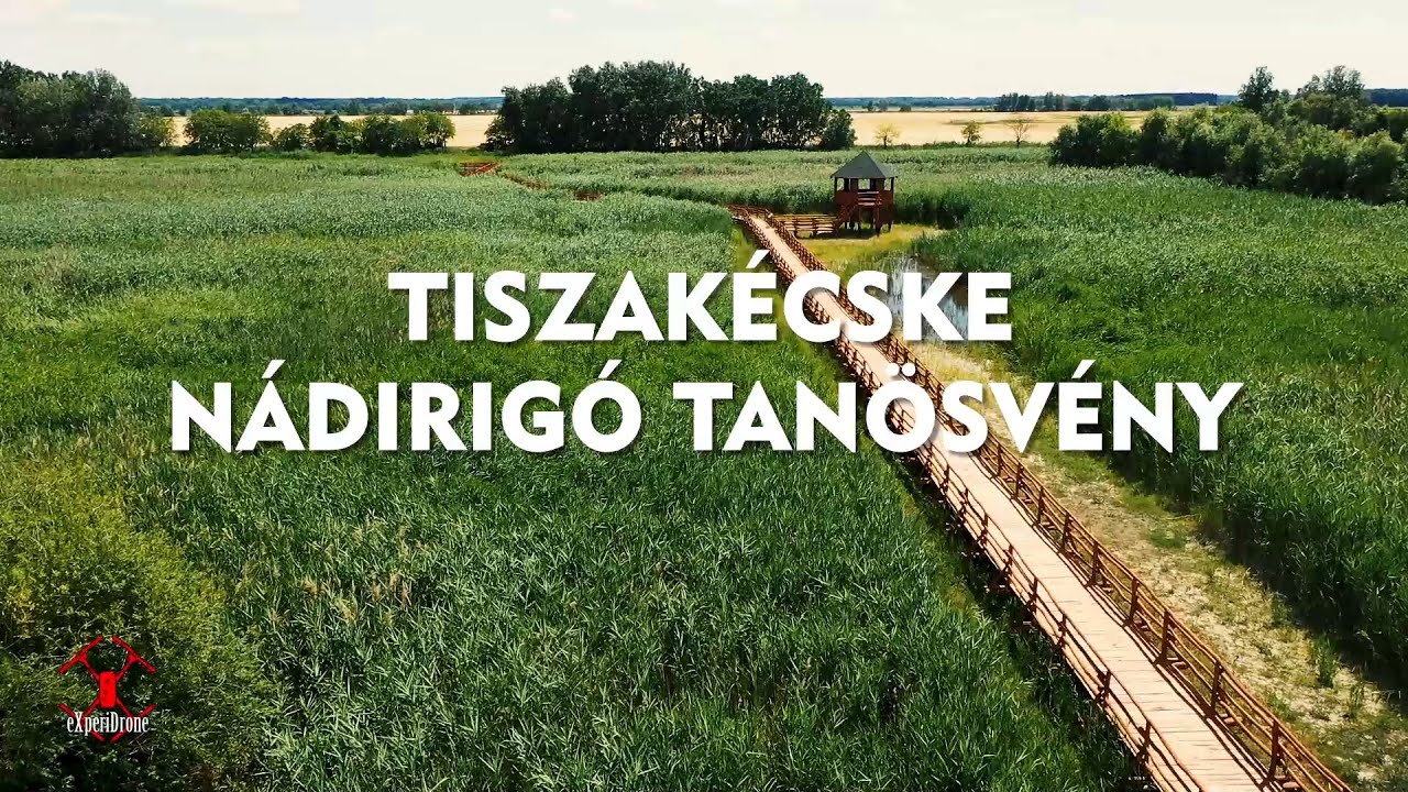 TISZAKÉCSKE NÁDIRIGÓ TANÖSVÉNY