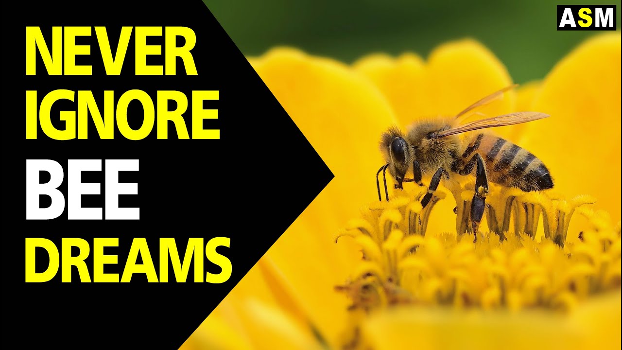 What does Bees dream meaning | Dreaming of Bee | Bees dream interpretation