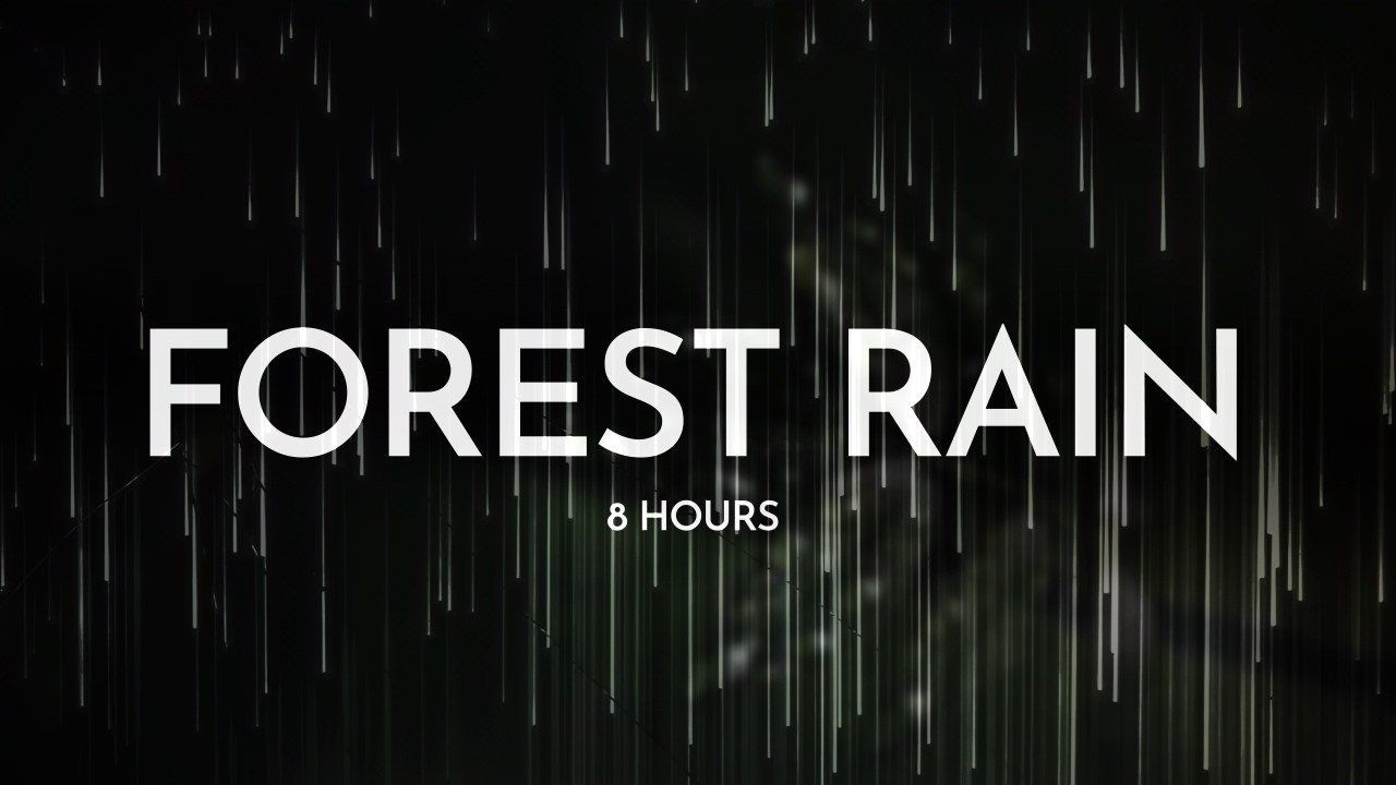 Forest Night Rain Deep Sleep – Soft Rain in the Woods + Brown Noise (8 Hours)