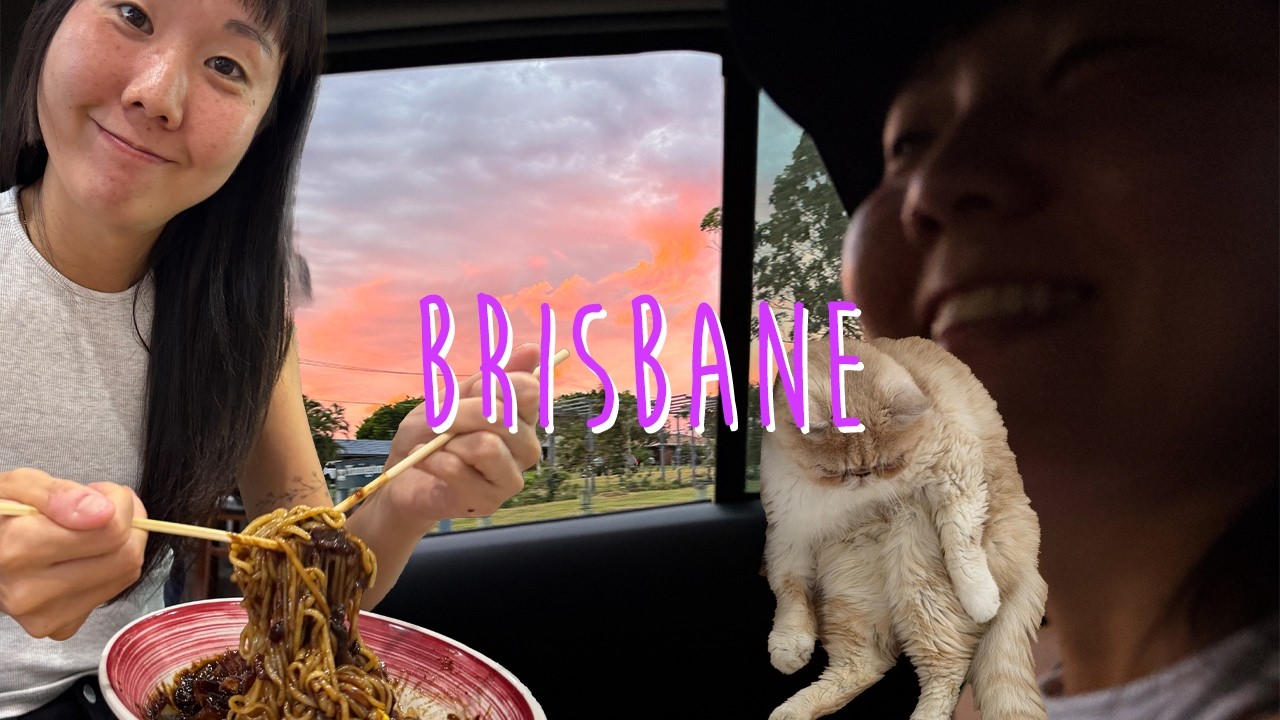 브리즈번7 - 비오는날, 리트리버, 고양이, 짜장면, 탕수육, 공차, 꼬치