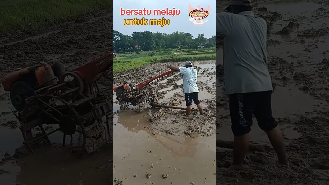 Sahabat tani tanah merah dajah