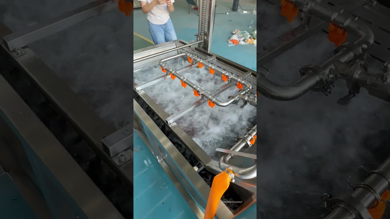 Bubble Type Tomato Washing Machine for Fresh Produce#TomatoCleaningLine#TomatoProcessing #vegetables