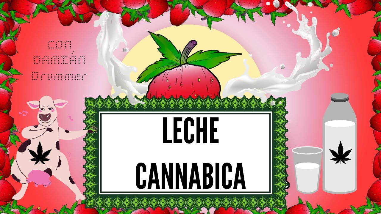 Leche Cann&aacute;bica