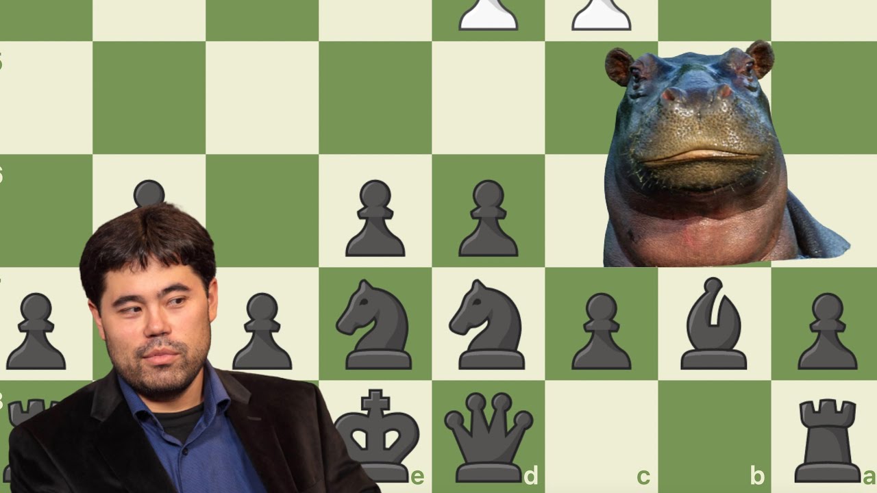 Hikaru Wins in 16 Moves With Hippopotamus Defence