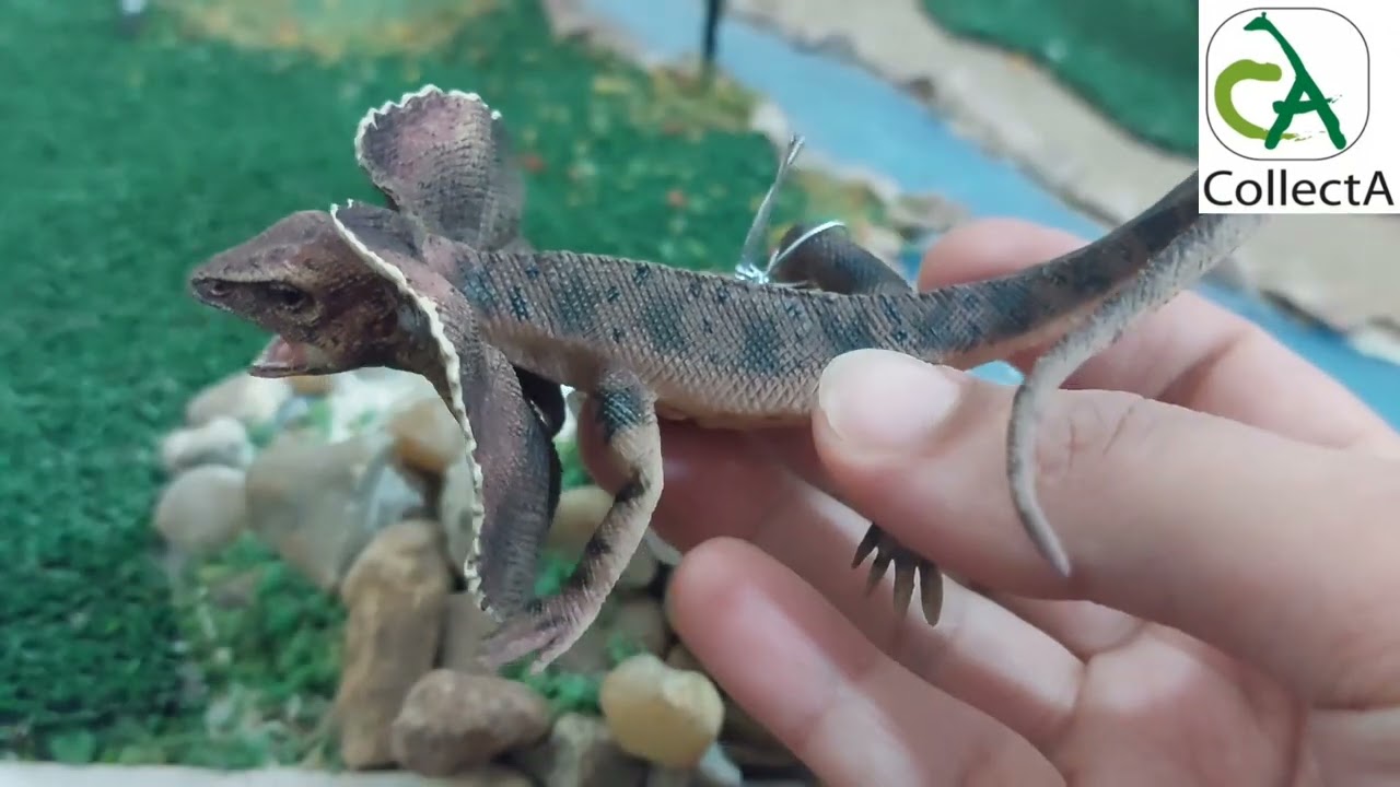 Collecta Frilled  Necked Lizard  Review